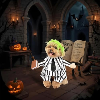 DELIFUR Dog Halloween Funny Costume - Pet Adorable Fantacy Clothes Cat Cosplay Apparel Dress Up for Small Medium Dog Funny Outfit Adjustable (Suit, Medium) - Image 5
