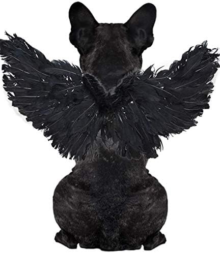 WeeH Pet Halloween Costume Cosplay Angel Devil Black White Wing for Dog Cat Rabbit Piggy - Funny Gift at Halloween Party Anime Theme Birthday Christmas (Black, Large) by WeeH