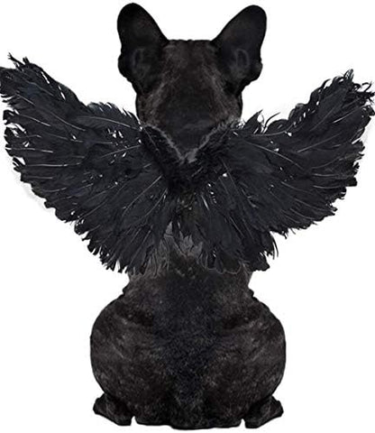 WeeH Pet Halloween Costume Cosplay Angel Devil Black White Wing for Dog Cat Rabbit Piggy - Funny Gift at Halloween Party Anime Theme Birthday Christmas (Black, Large) by WeeH
