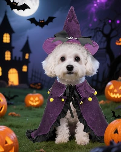 CuteBone Dog Halloween Costumes for Small, Medium, Large Dogs – Witch Pet Cosplay Outfits | Cute Puppy Costume for Halloween Party, Dress-Up, Photo Shoots GBZ03M - Image 3