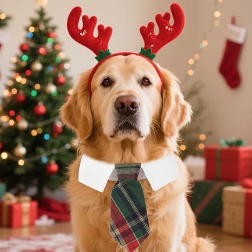 ADOGGYGO Christmas Dog Necktie, Xmas Pet Tuxedo Costume, Green Plaid Christmas Neck Tie Collars for Large Dogs (Large) - Image 2