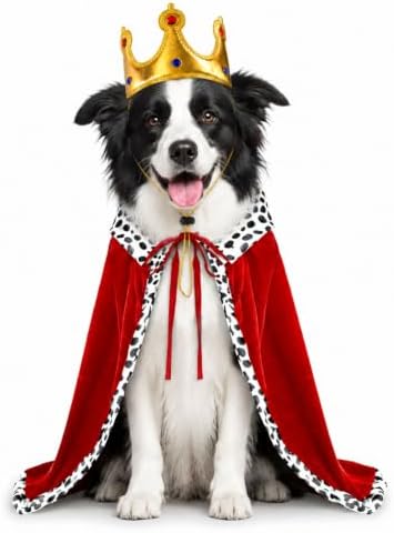 Dog Halloween Costumes for Medium Dogs,Funny Dog Costume King Crown Cape(M) by WizBBQT