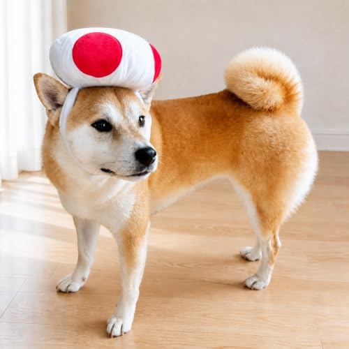 ComfyCamper Dog Mushroom Hat - Cottagecore Cosplay Halloween Costumes, L - Image 2