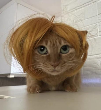 Blonde Dog Wigs for Large Dog Wig Small Medium Costume Golden Cat Wig - Image 4