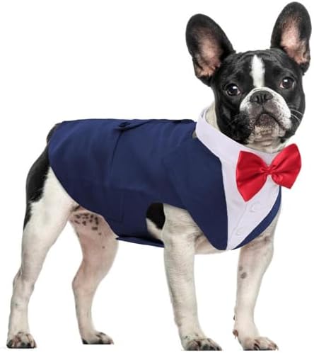 Dog Tuxedo for Small Dogs, Dog Suit and Bandana Set, Dog Costume Outfit by DoraBridal