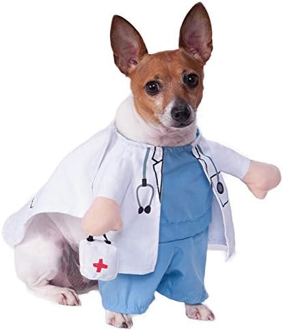 Rubies Walking Vet Pet Costume for Dogs or Cats, Large by Rubies