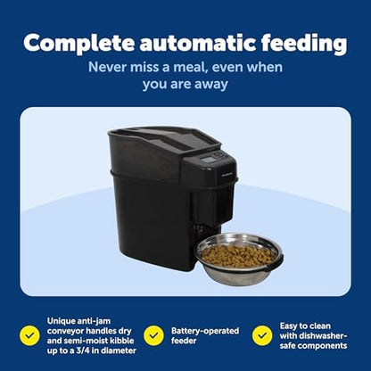 PetSafe Healthy Pet Simply Feed Auto Feeder, Programmable, Holds 24 Cups