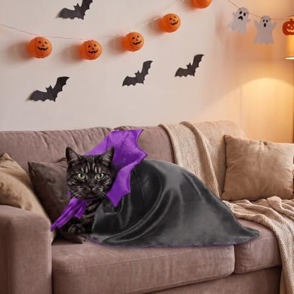 2 Pcs Dog Halloween Costume Set Cat Witch Vampire Cape Devil Horns Hat Holiday Clothes for Cat Puppy Halloween Party Pet Outfits (Purple) M - Image 6