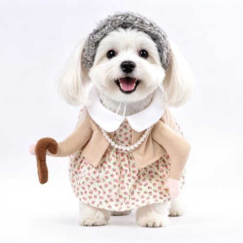 DELIFUR Dog Old Lady Costume Funny Grandma Dress Up for Halloween, Small by DELIFUR