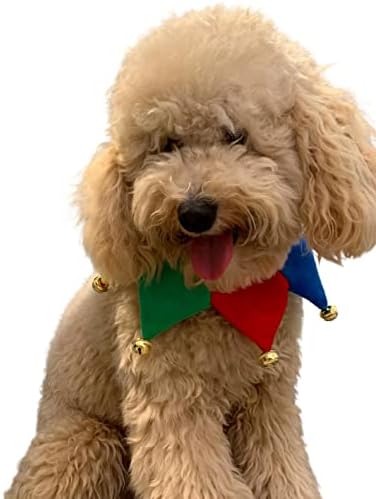 ComfyCamper Dog Jester Clown Neckpiece Cute Outfit Halloween Costume, XL - Image 4