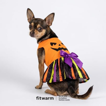 Fitwarm Halloween Pumpkin Dog Dress, Funny Dog Halloween Costumes, Doggy Clothes for Small Dogs Girl, Pet Apparel, Orange, Black, Purple, Large - Image 2