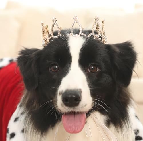Lovelyshop Pearl Rhinestone Pet Crown for Dogs & Cats, Gold, L by Lovelyshop