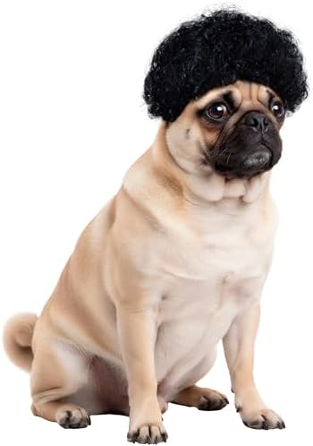 Rubies Afro Pet Wig for Dogs or Cats, S/M by Rubies