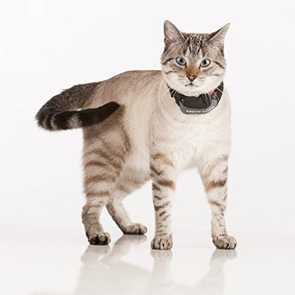Marco Polo Advanced Pet Monitoring, Tracking and Locating System (for Dogs and Cats 5 lb and Larger)