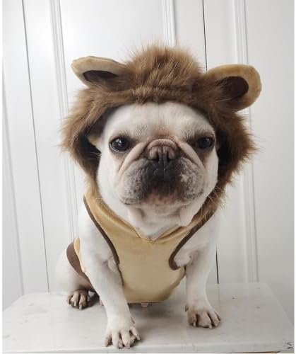 Lion Pet Costume for French Bulldog, Funny Lion Outfit, Dog & Cat Party Clothes, Halloween Cosplay (S, Lion) - Image 2