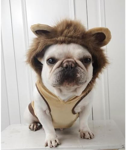 Lion Pet Costume for French Bulldog, Funny Lion Outfit, Dog & Cat Party Clothes, Halloween Cosplay (S, Lion) - Image 2
