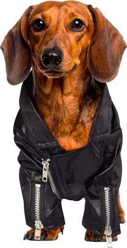 Rubies at Party City Grease: T-Birds Pet Costume for for Dogs or Cats, Large - Image 2