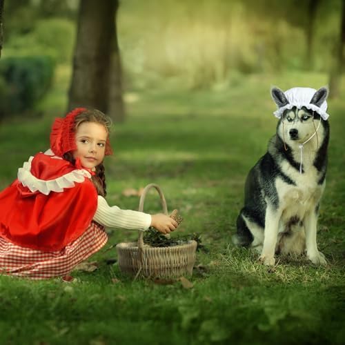 Haysandy 3 Pcs Halloween Big Bad Wolf Dog Costume Granny Costume, Medium - Image 6