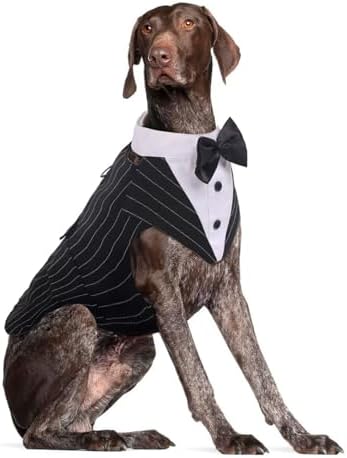 Dog Tuxedo for Large Dogs, Dog Suit and Bandana Set, Dog Costume Outfit by DoraBridal