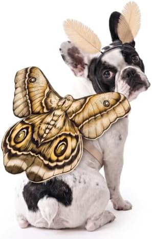 Tallew 2 Pcs Dog Halloween Costumes Moth Butterfly Wings,S,Grayish White by Tallew