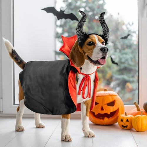 2 Pcs Dog Halloween Costume Set Cat Witch Vampire Cape Devil Horns Hat Holiday Clothes for Cat Puppy Halloween Party Pet Outfits (Red) L - Image 7
