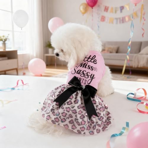Little Miss Sassy Pants Dog Dress with Leopard Print Bowknot Dog Clothes for Small Medium Large Dogs Girls Boys Cats Outfit Apparel - Image 4