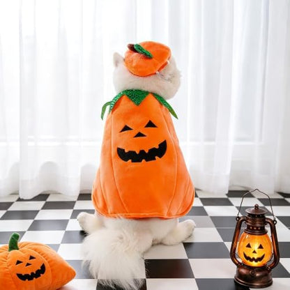 Yoption Halloween Dog Pumpkin Costumes with Hat for Dogs Cats, Medium - Image 6