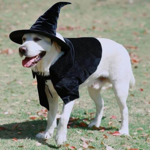 Hooded Cloak Witch/Wizard Costume for Large Pets, Dog Halloween Costume Hat and Cloak, Dog Witch Costumes Large - Image 2