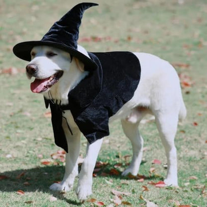 Hooded Cloak Witch/Wizard Costume for Large Pets, Dog Halloween Costume Hat and Cloak, Dog Witch Costumes Large - Image 2
