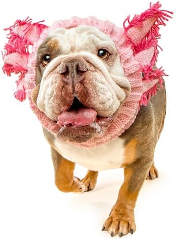 Zoo Snoods Axolotl Dog Costume - Warm Crochet Salamander Snood Wrap for Pets, Neck Ear Cover Protection, Halloween Winter (Large) by ZooSnoods