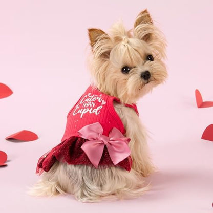Fitwarm Cuter Than Cupid Dog Tulle Dress, Cute Girl Dog Clothes, Funny Pet Apparel, Burgundy Red, Medium - Image 2
