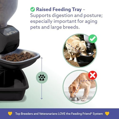 Feeding Friend® Automatic Dog & Cat Food Feeder with Water Dispenser, Smart Portion Control, OLED Display, Anti-Jam Design, Battery Operated, XS 4–15 lbs Pets, Black