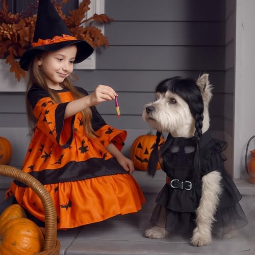 Coume 3 Pcs Halloween Dog Costume Gothic Dress with Wig Belt for Pets,L - Image 5