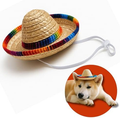 Pet Custom Dog Custom Cat Custom Hoodie, Sporty Look, Funny Gift, Halloween Holiday (Sombrero Hat, One Size) by Pawcratean