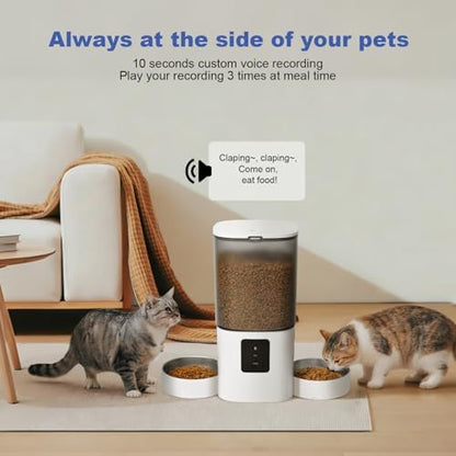 ANDOLL HOME Automatic Cat Feeder for 2 Cats, 2.4G/5G WiFi Cat Food Dispenser with 10s Voice Recorder, 6L Automatic Pet Feeder up to 10 Meals per Day, Timed Feeder with Dry Food Sealed Ring