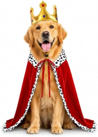 Dog Halloween Costumes for Large Dogs,Funny Dog Costume King Crown Cape(L) by WizBBQT