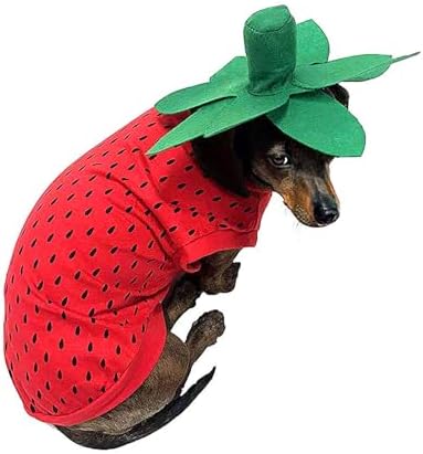 Pet Halloween Costume Dog Strawberry Costume Role Play Clothes for Thanksgiving Christmas (Red, S) by Unknown