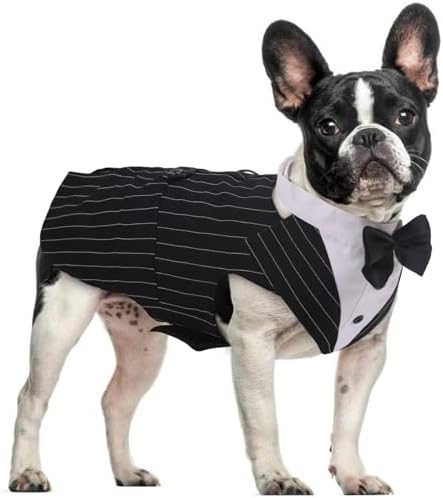 Dog Tuxedo for Small Dogs, Dog Suit and Bandana Set, Dog Costume Outfit by DoraBridal