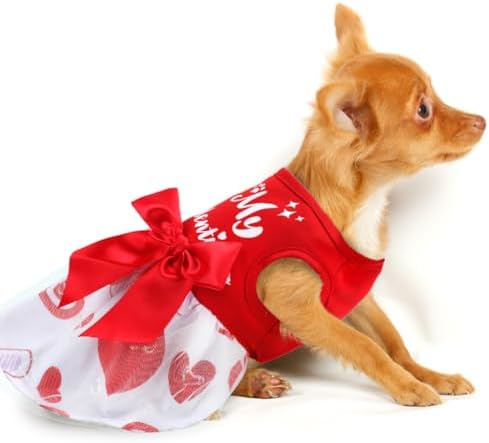 Dog Valentines Day Clothes Be My Pawlentine Dog Valentines Outfit Red Tulle Dog Dress with Bowknot for Small Medium Large Dogs Cat Girl - Image 2