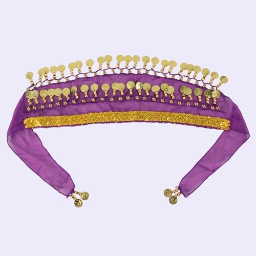 Dog Belly Dance Skirt with Sequins, Bling Belly Dance Hip Scarf for Corgis - Image 3