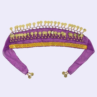 Dog Belly Dance Skirt with Sequins, Bling Belly Dance Hip Scarf for Corgis - Image 3