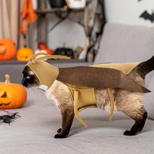Halloween Puppy Cat Costume Dog Cockroach Shaped Outfits Pet Festival Cosplay Apparel for Small Dogs Cats - Image 2