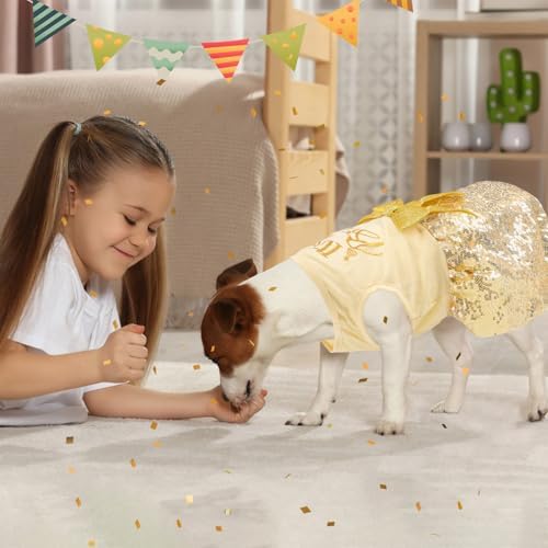 Birthday Dog Dress with Gold Sparkly Sequin Princess Dog Clothes for Small Medium Large Dogs Girls Boys Cats Outfit Apparel - Image 3