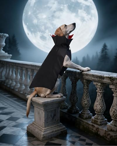 CuteBone Dog Halloween Costumes for Small, Medium, Large Dogs – Vampire Pet Cosplay Outfits | Cute Puppy Costume for Halloween Party, Dress-Up, Photo Shoots GBZ04XXL - Image 4