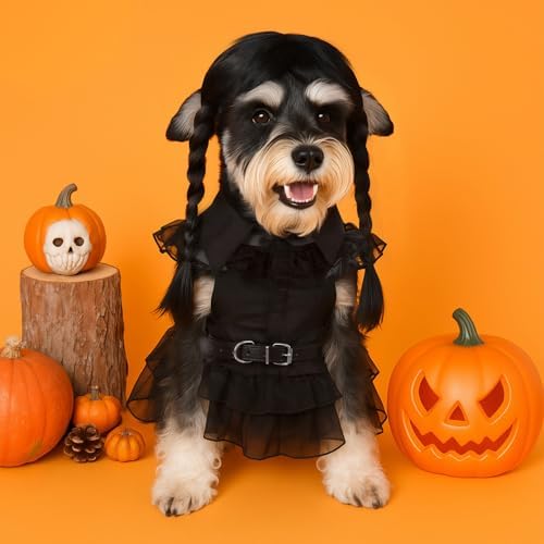 Coume 3 Pcs Halloween Dog Costume Gothic Dress with Wig Belt for Pets,L - Image 4