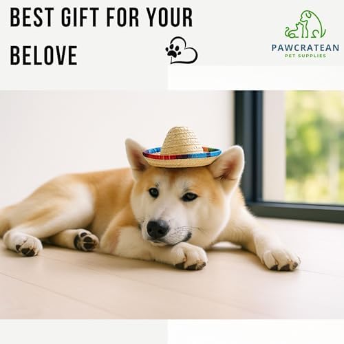 Pet Custom Dog Custom Cat Custom Hoodie, Sporty Look, Funny Gift, Halloween Holiday (Sombrero Hat, One Size) - Image 5
