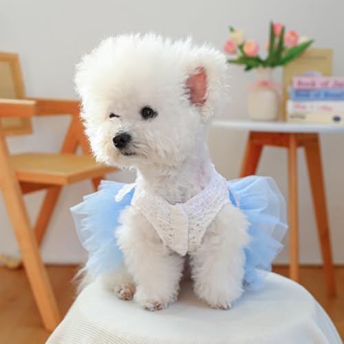 Fashion Sweet Puppy Dog Blingbling Princess Skirt Pet Dog Lace Cake Camisole Tutu Dress B-Light Blue XL - Image 5