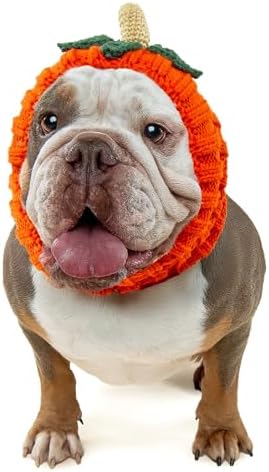 Zoo Snoods Pumpkin Dog Costume - Warm Crochet Snood Wrap for Pets, Neck Ear Cover Protection, Halloween Winter (Large) by ZooSnoods