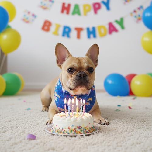 ADOGGYGO Birthday Dog Bandana with Bowtie, Blue Boy Dog Tuxedo, Medium - Image 4