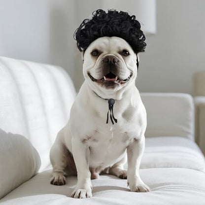 1 Pcs Funny Pets Wigs for Dog, Funny Black Curly Dog Wig Adjustable Pet Wigs for Halloween Pet Costume Accessories for Halloween, Christmas, Parties, Festivals Cosplay - Image 7